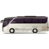 Model pojazdu SETRA S 411 HD (AWM71718) marki AWM AWM71718