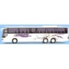 Model pojazdu SETRA S 317 GT-HD (AWM71457) marki AWM AWM71457