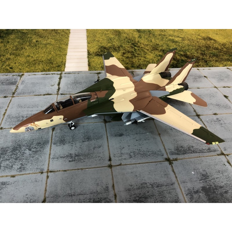 Model F-14A Tomcat, skala 1:72, Witty, malowanie Sky Guardians, detale kamuflażu.