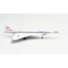 Model samolotu Tupolev Design Bureau Tupolev TU-144S