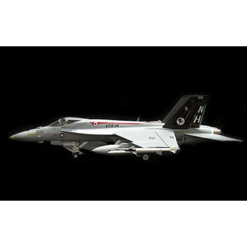 Model F-18 SKY GUARDIANS, skala 1:72, Witty Wings. Szary, z detalami.