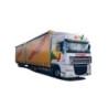 Model DAF XF 105 SC, skala H0, AWM, malowanie Nothegger.