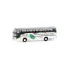 Model NEOPLAN Cityliner Iga 1993, skala 1:87, Rietze. Biały autobus z zielono-żółtymi liśćmi i napisem "DIE IGA: DAS NATUR-SCHAU