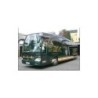 Mercedes-Benz Travego M Bex, skala 1:87, zielony z żółtymi pasami, logo Bex Berlin.