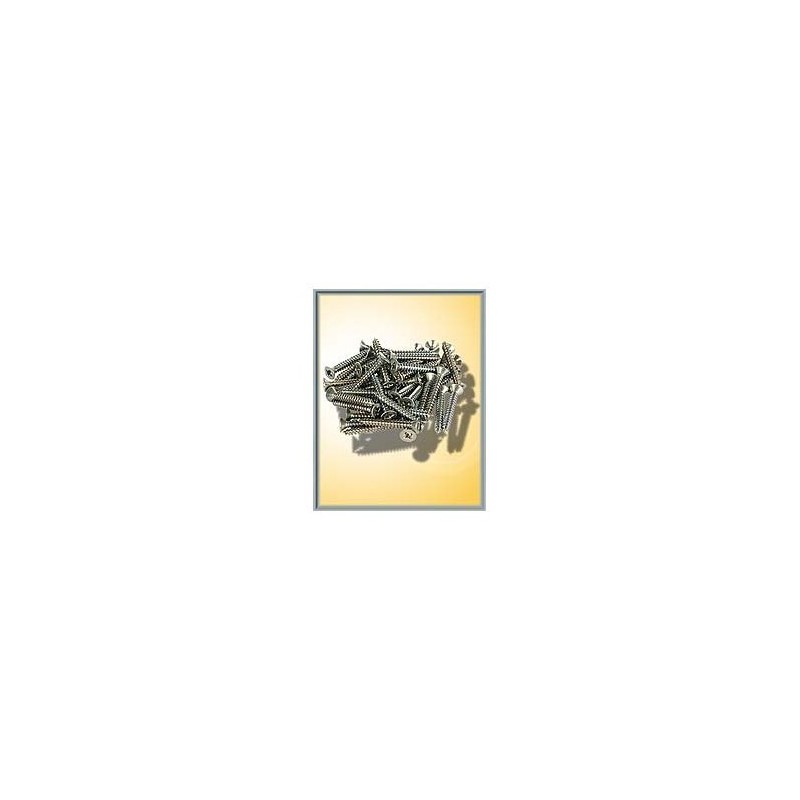 Zestaw 50 metalowych śrubek modelarskich.
