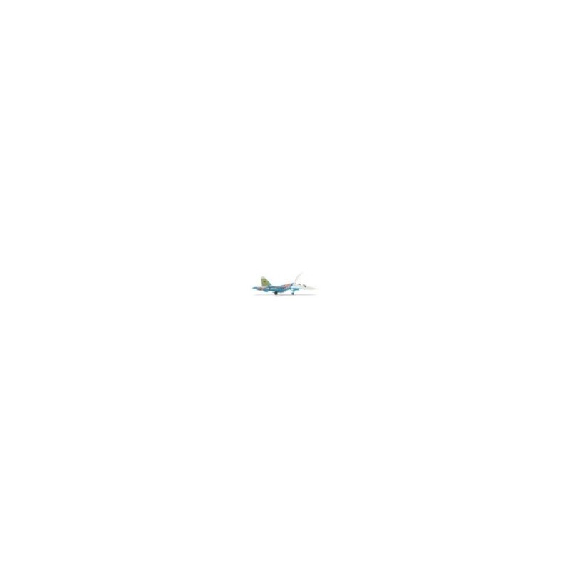 Model Sukoi SU-27UB Russian Knights