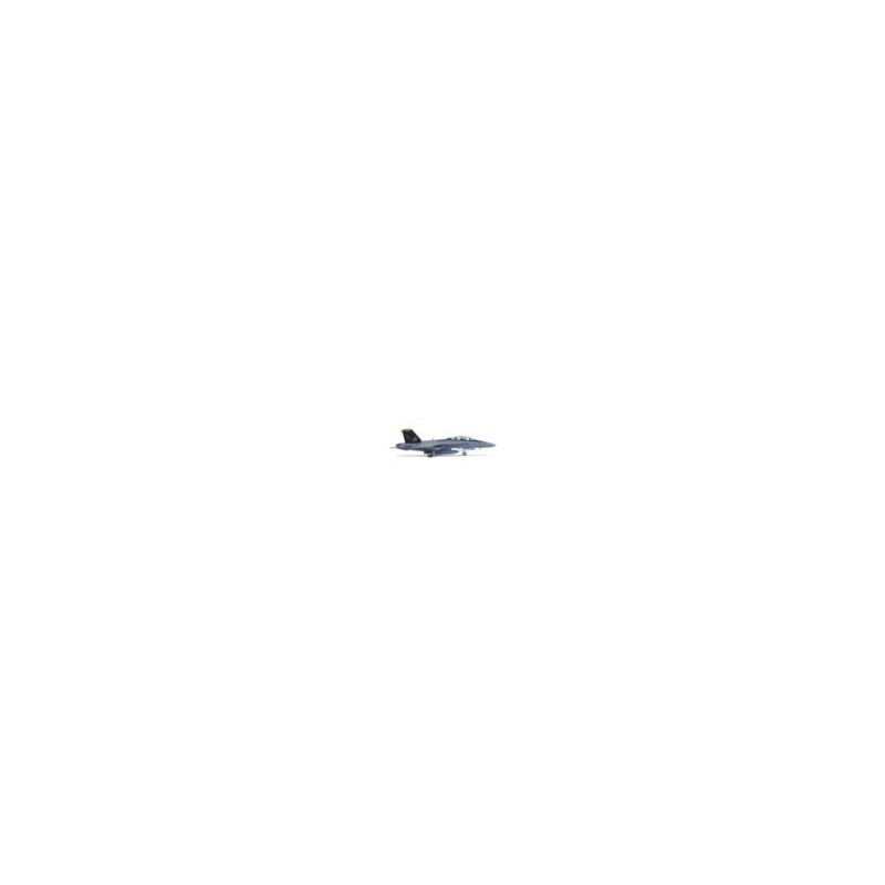 Model Boeing F/A-18F 'Swordsmen' HERPA
