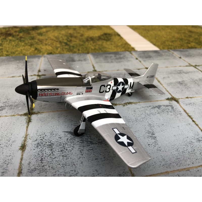 P51-D MUSTANG, Sky Guardians, skala 1:72, malowanie czarno-białe.