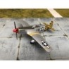 Model P-51D Mustang, skala 1:72, Witty Wings. Malowanie Sky Guardians, oznaczenia 79.