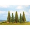 Model pine trees (5SZT.) - modele drzew