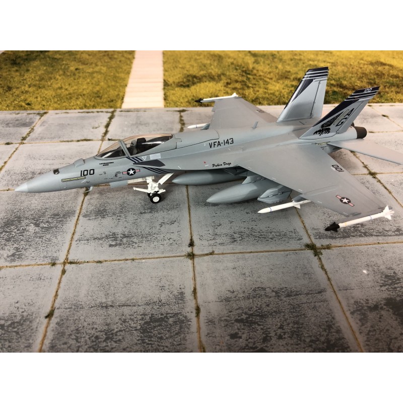 Model F-18E Super Hornet, skala 1:72, Witty Wings. Szary myśliwiec z oznaczeniami VFA-143, "Pukin Dogs".