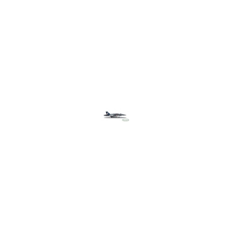 VFA-131 F/A-18C Hornet 'Wildcats' HERPA