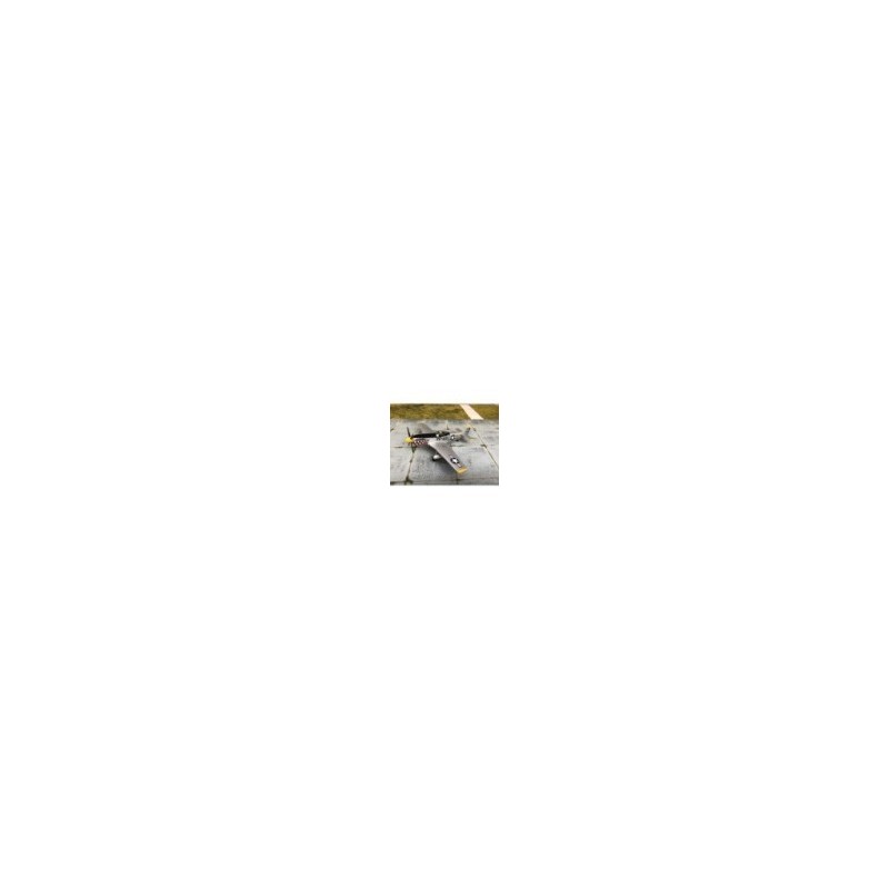 P-51D MUSTANG 1:72, Sky Guardians