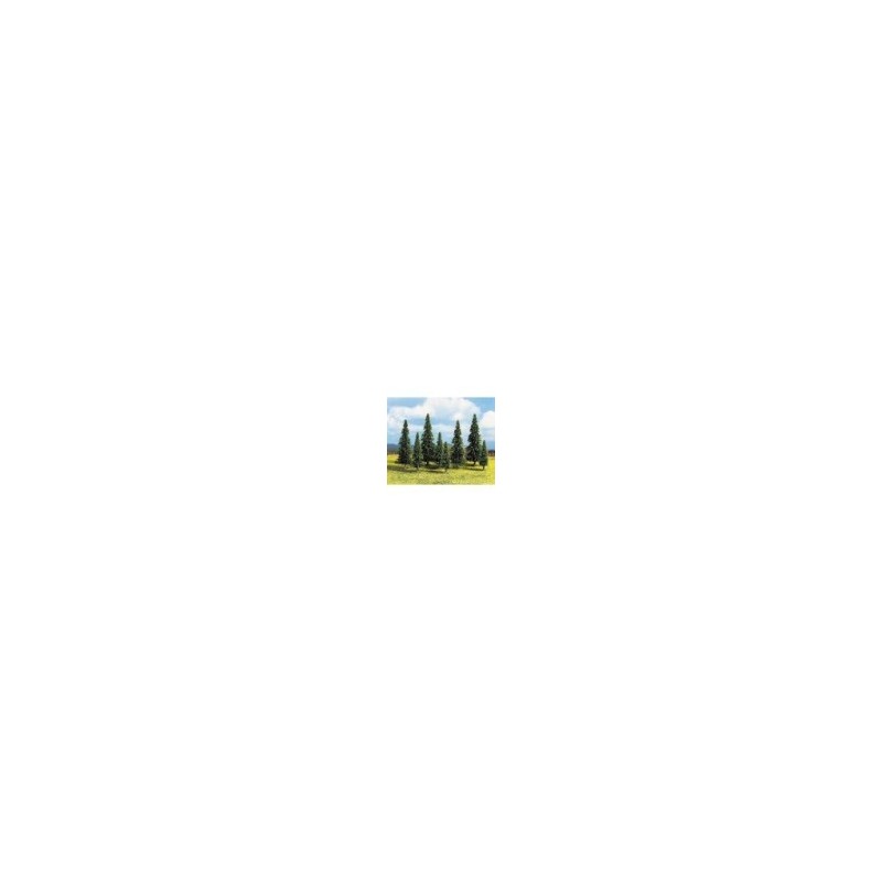Model Spruce Trees - NOCH