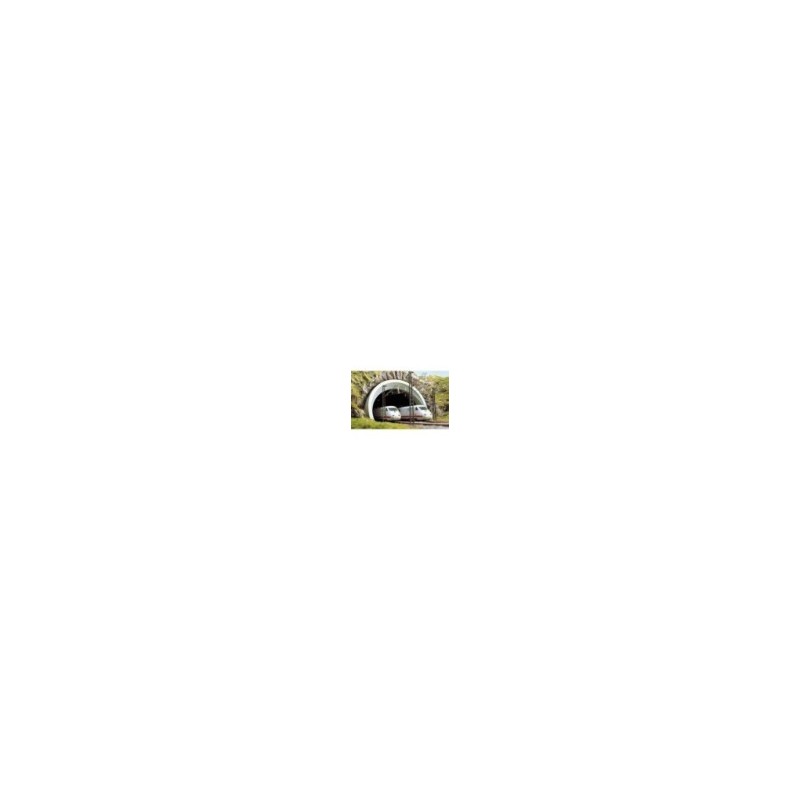 Portal tunelowy 2-torowy 1/87H0