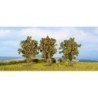 Apple trees (3SZT.) - Model drzewek owocowych