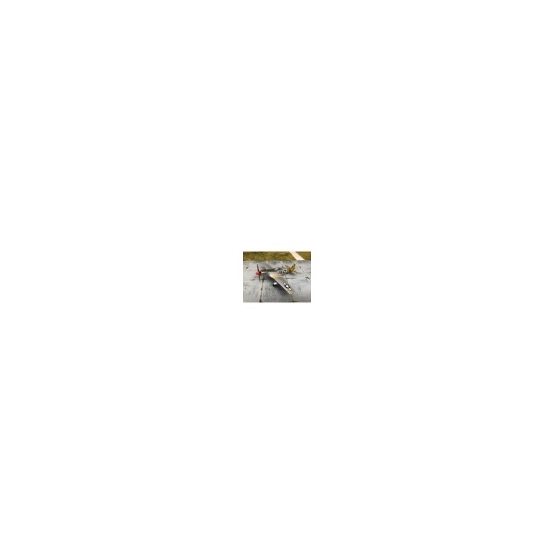 P-51D MUSTANG, SKY GUARDIANS 1:72