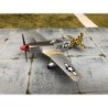 P-51D MUSTANG, SKY GUARDIANS 1:72