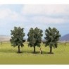 Maple trees model