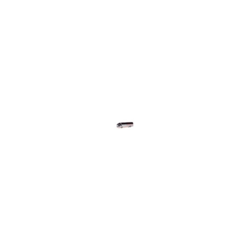 NEOPLAN Starliner 2 Europa Reisen 1/87