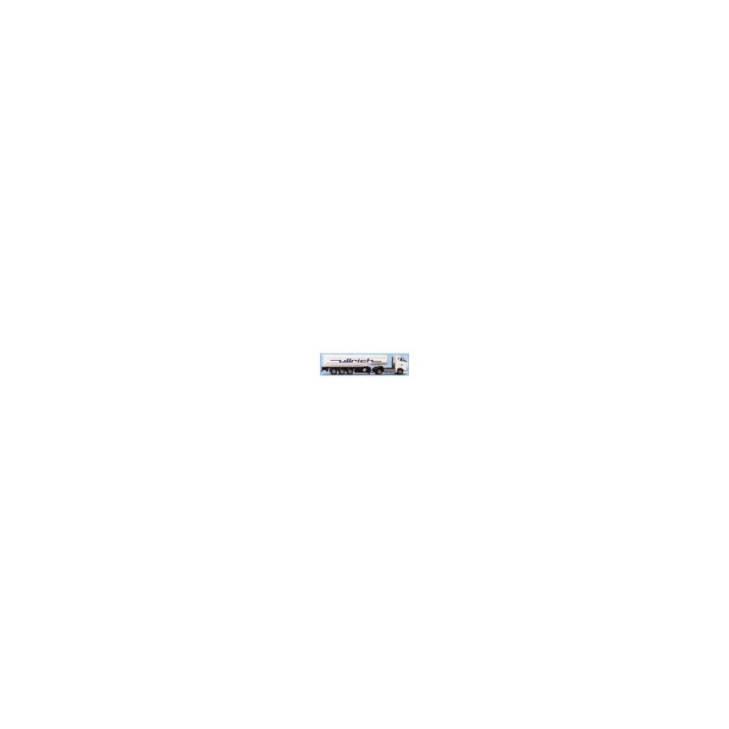 MAN TG-A LX - (B)Tank-SZ - Model cysterny