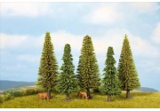Model pine trees (5SZT.)