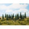 Model Fir Trees (50 SZT.) - NOCH