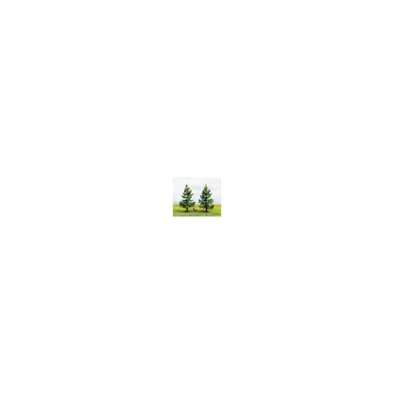 Model Spruce Trees
