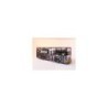 Model MAN DN95 1/87