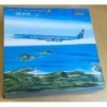 Model samolotu Douglas DC-8-61, skala 1/250, Gemini. Malowanie linii Trans Caribbean, detale metalowe.