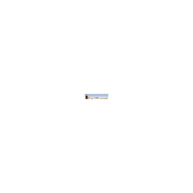 BARBECUE PARTY - Zestaw Figur