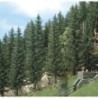 SPRUCE TREES - Model Drzew Sosnowych