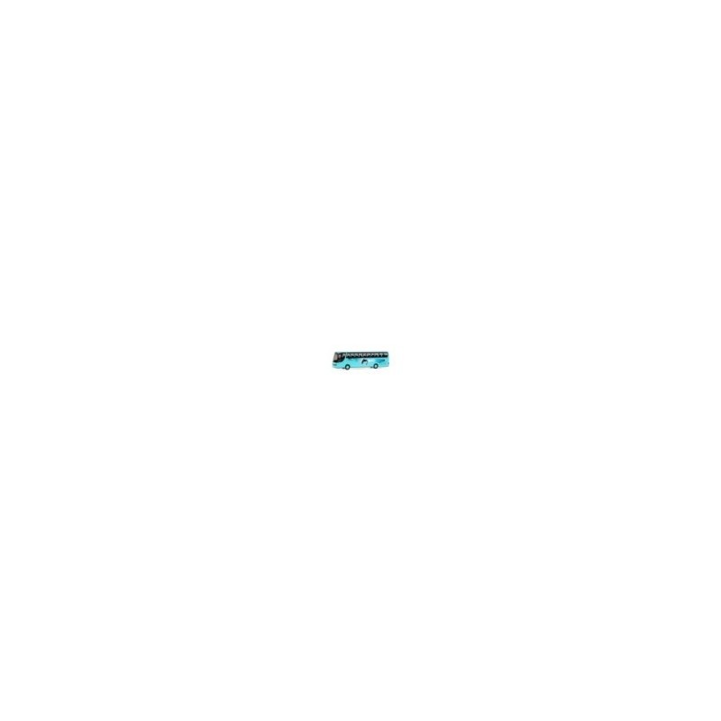 SETRA S 315 HDH Fische 1/87H0