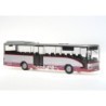 NEOPLAN Cityliner Mod. 07 - Model Autobusu