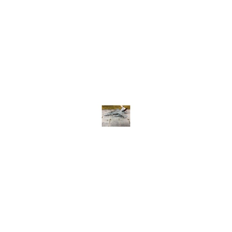 F/A-18D HORNET, SKY GUARDIANS, model 1:72