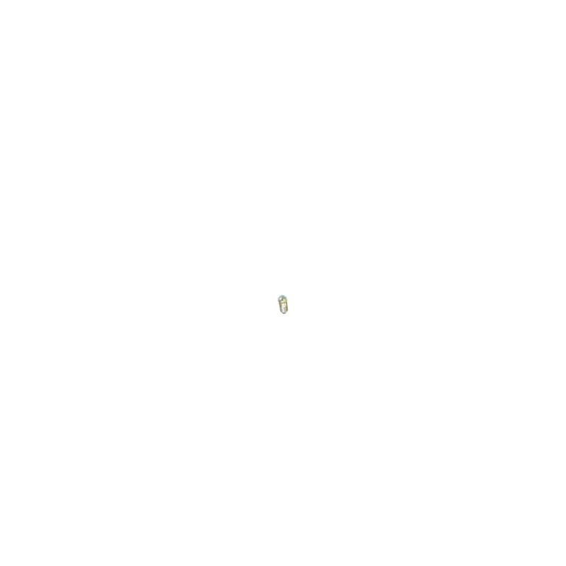 Model Spherical-head Bulb, E 5.5 - unikatowy model